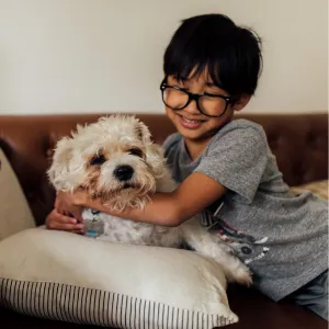 飼い主の少年と触れ合う犬