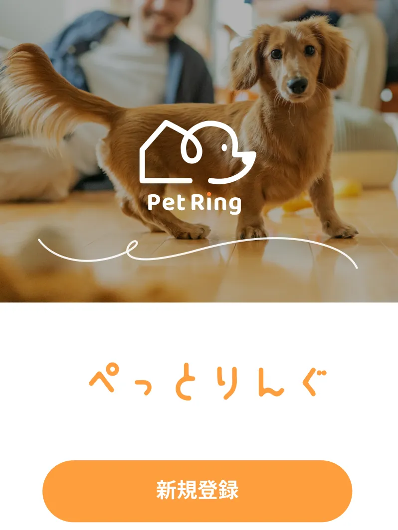 新規登録ページの画面イメージ