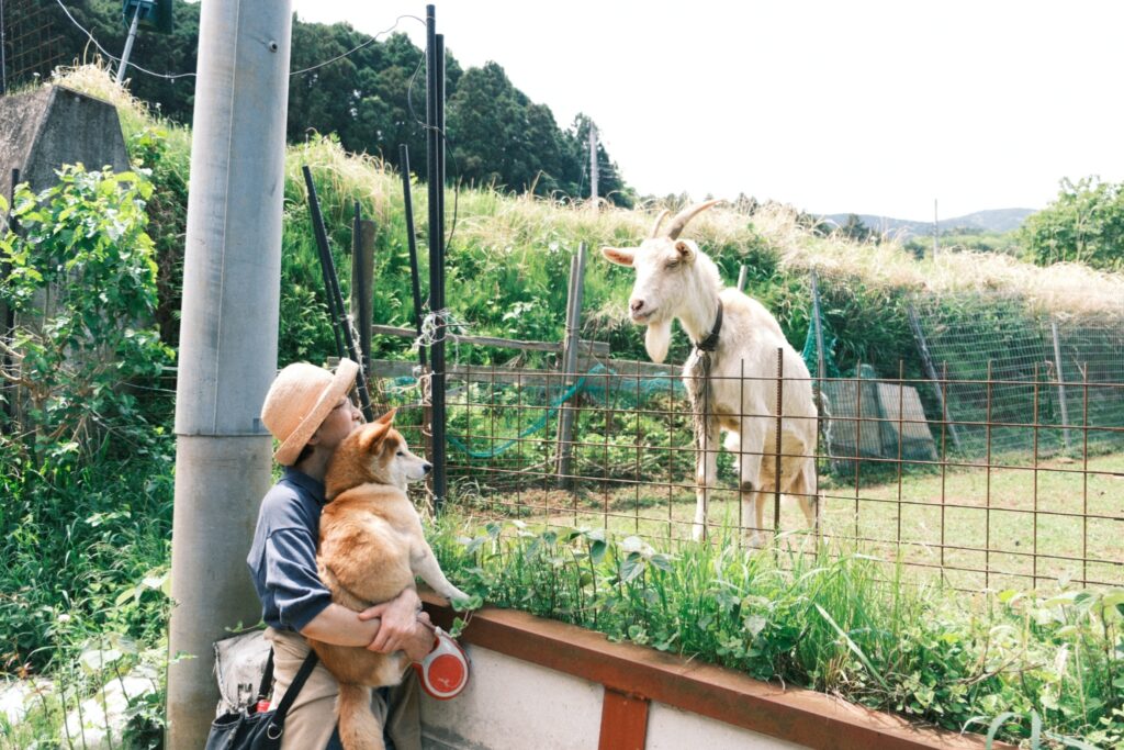 【2025年版】JKC愛犬飼育管理士は意味ある？費用・試験・合格率の実情と“動物取扱責任者”での有効性