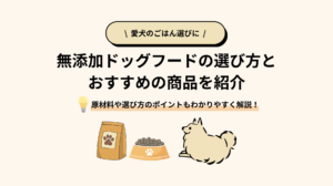 無添加ドッグフードのおすすめ商品厳選3選を紹介｜選び方と注意点をわかりやすく解説
