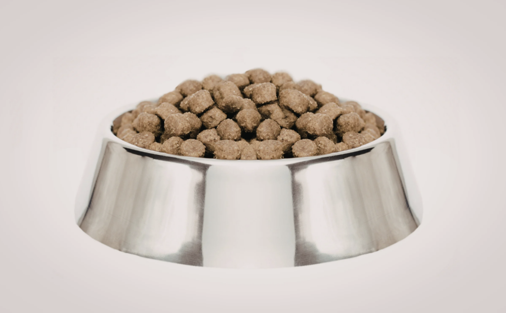 ドッグフードの写真