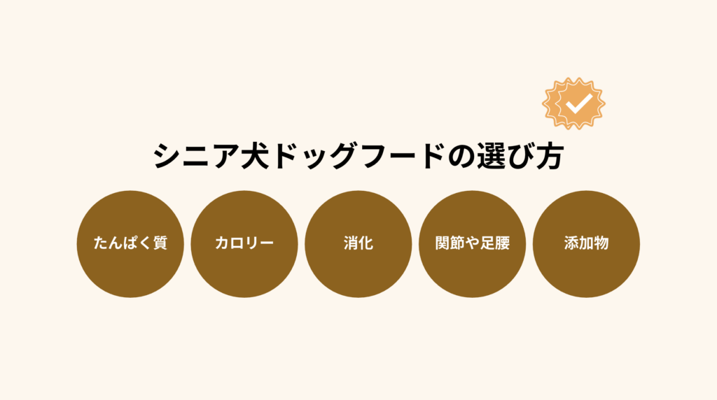 シニア犬ドッグフードの選び方